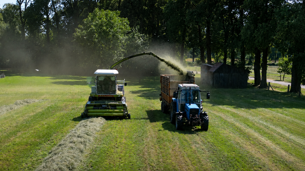 claas jaguar grass